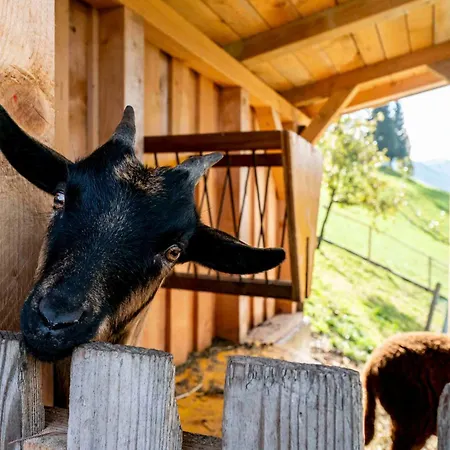 Almliesl Wild-742 Lägenhet